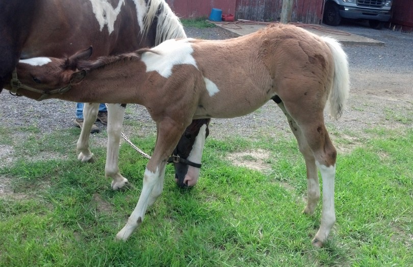 IMG_20140703_171012_619