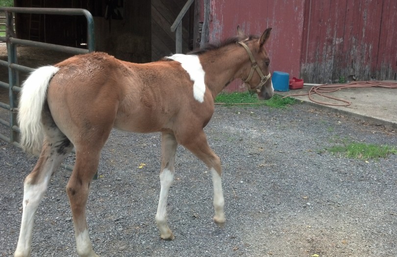 IMG_20140703_171050_374