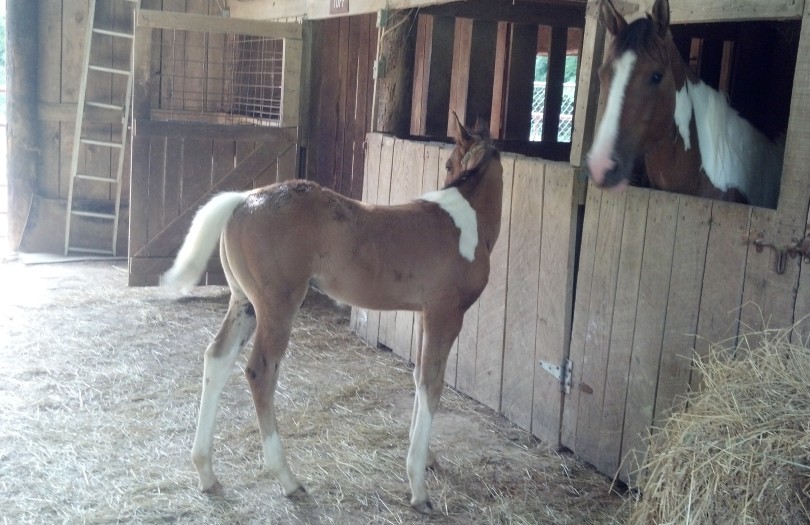 IMG_20140703_171128_250