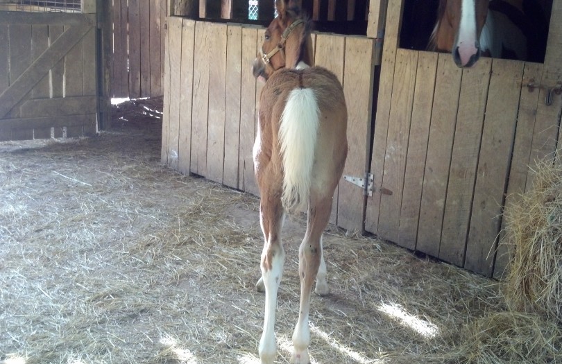 IMG_20140703_171216_134