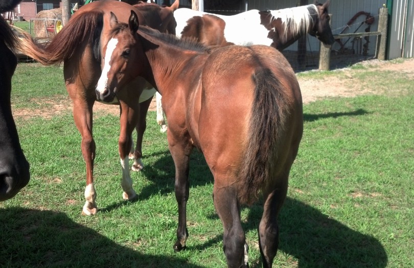 IMG_20140704_094446_654