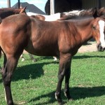 IMG_20140704_094533_394