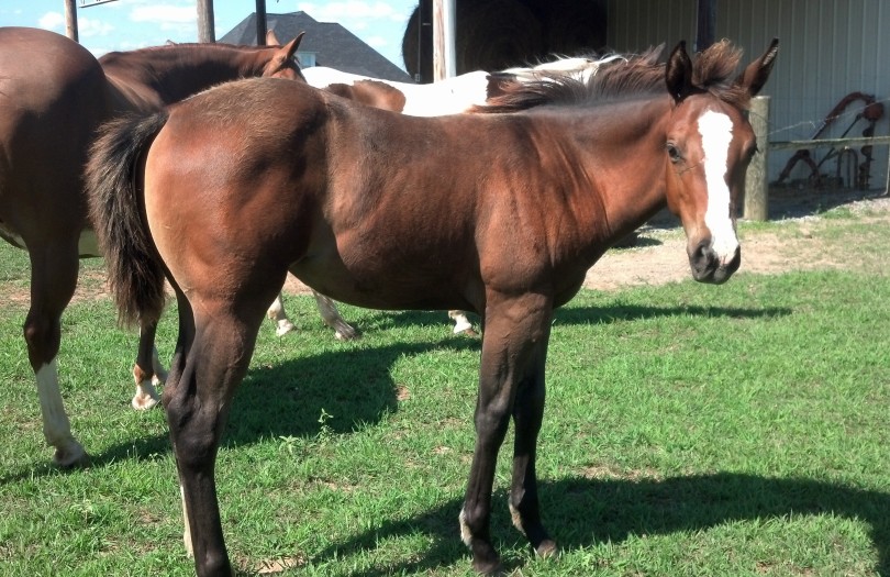 IMG_20140704_094533_394