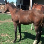 IMG_20140704_094714_366