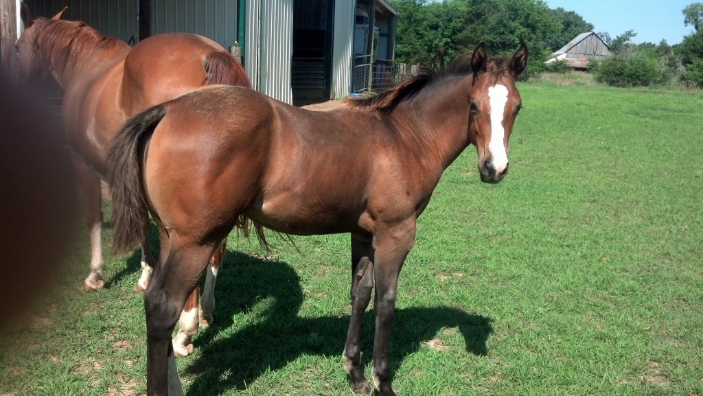 IMG_20140704_094728_309