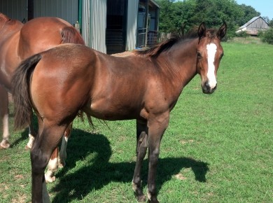 IMG_20140704_094728_309