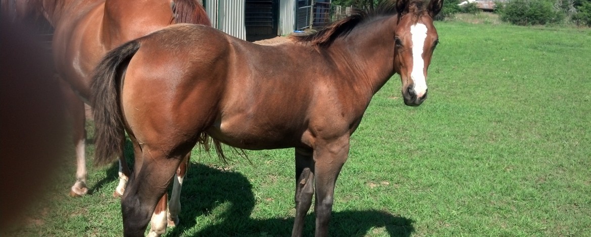 IMG_20140704_094728_309