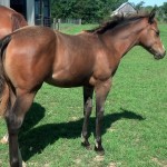 IMG_20140704_094731_609