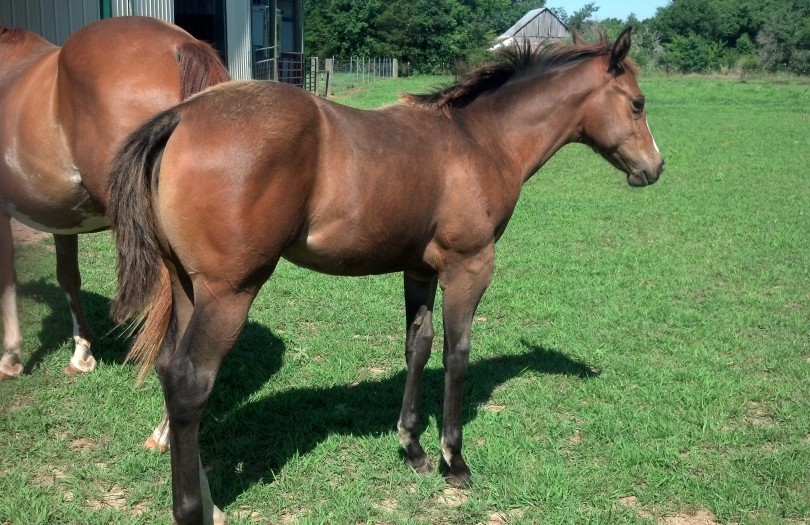 IMG_20140704_094731_609