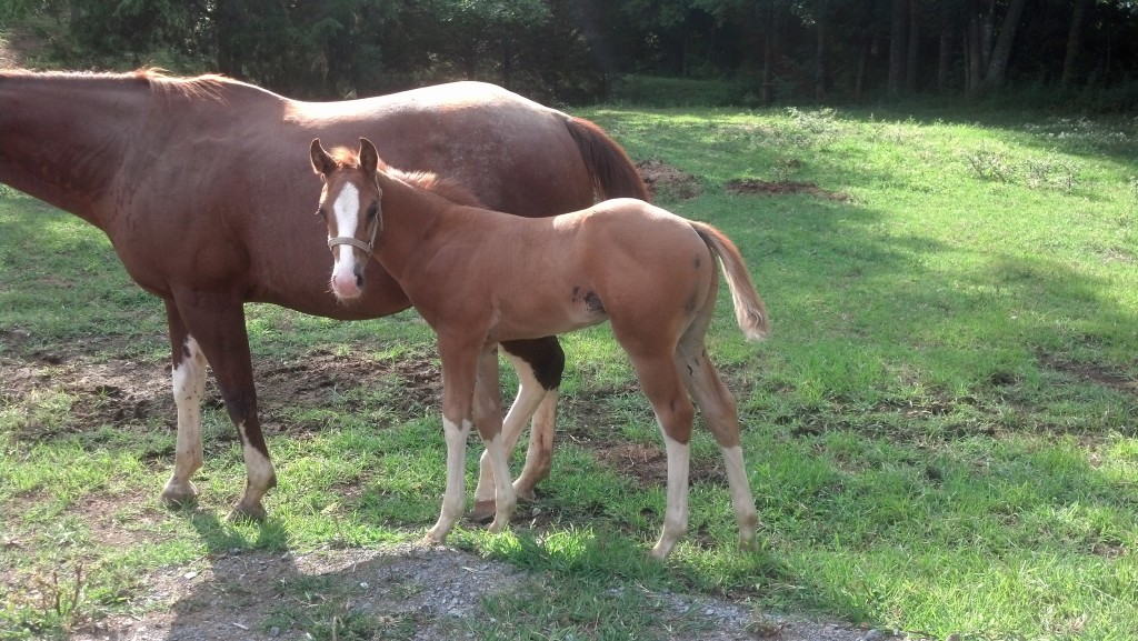 IMG_20140716_165827_600