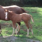 IMG_20140716_165827_600