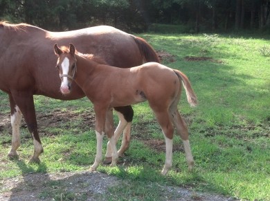 IMG_20140716_165827_600