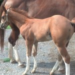 IMG_20140716_165920_237