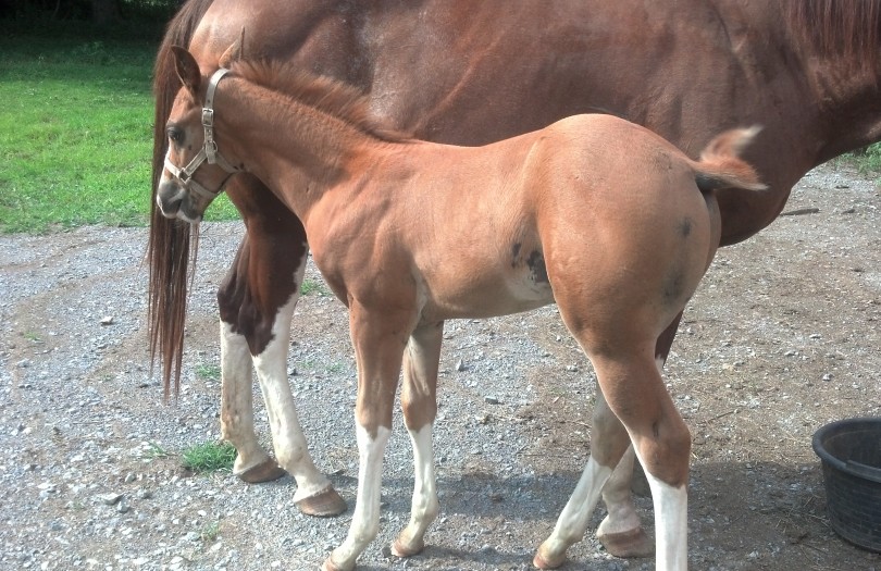 IMG_20140716_165920_237