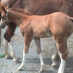 IMG_20140716_165921_910