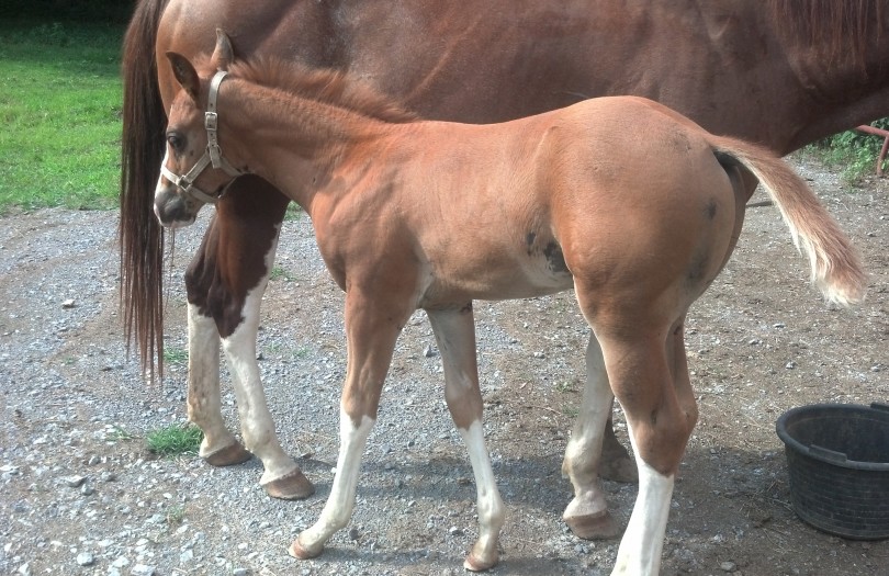 IMG_20140716_165921_910