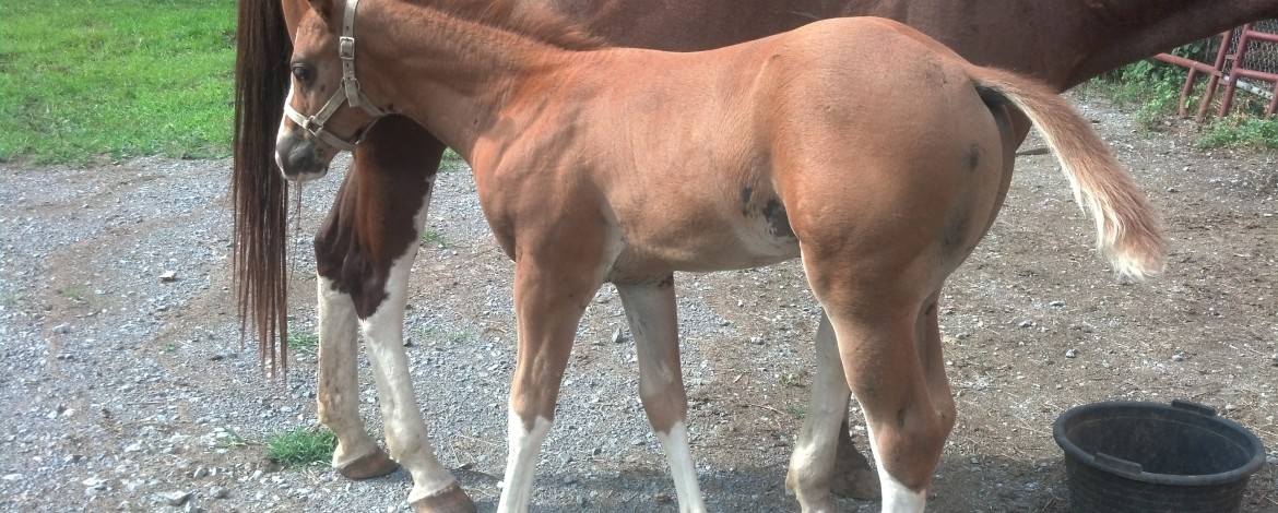 IMG_20140716_165921_910