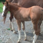 IMG_20140716_165929_374