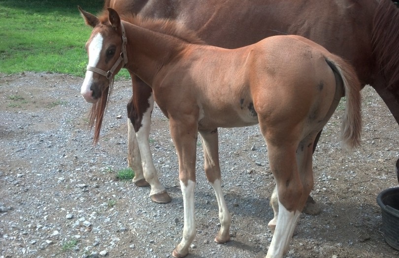 IMG_20140716_165929_374