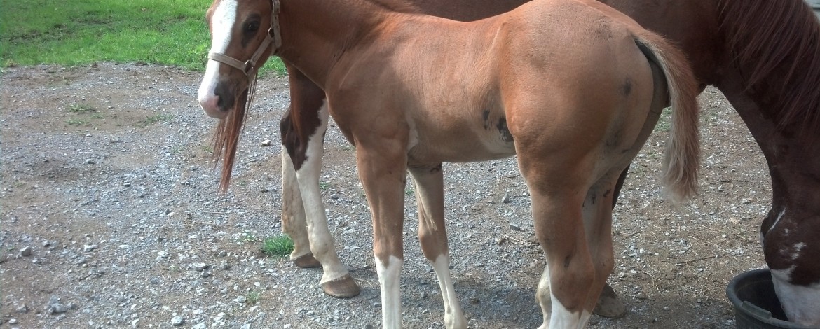 IMG_20140716_165929_374