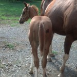 IMG_20140716_165934_776