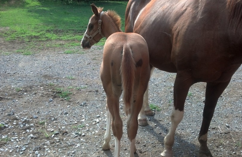 IMG_20140716_165934_776