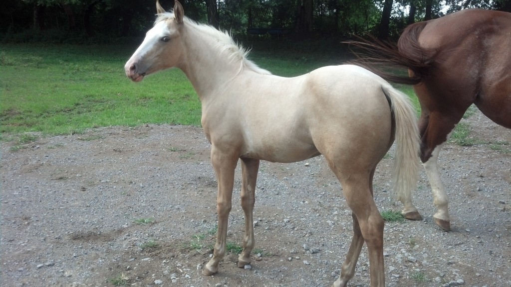 IMG_20140716_170319_121