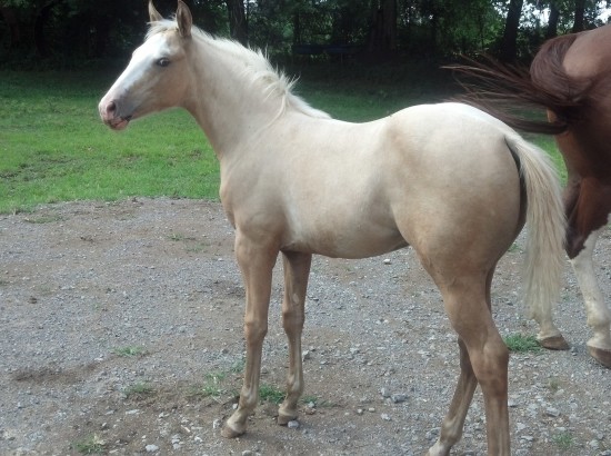 IMG_20140716_170319_121