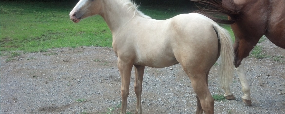 IMG_20140716_170319_121