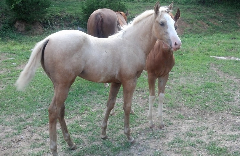 IMG_20140716_170659_741