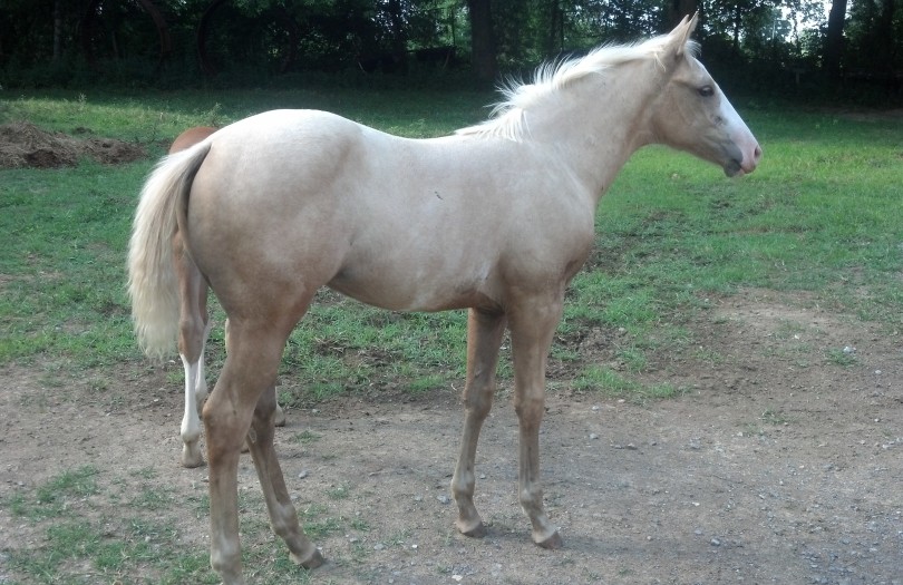 IMG_20140716_170720_110