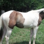 IMG_20140727_135917_443