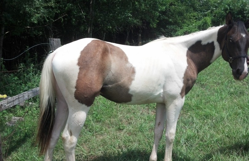 IMG_20140727_135917_443