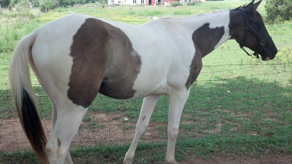 IMG_20140727_140140_826