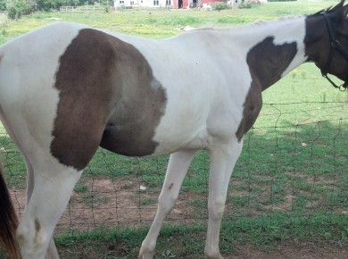 IMG_20140727_140140_826