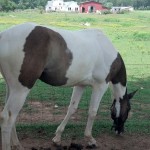 IMG_20140727_140144_864