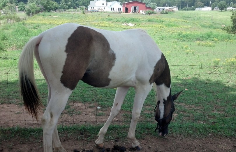 IMG_20140727_140144_864