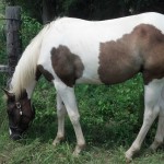 IMG_20140727_140527_975