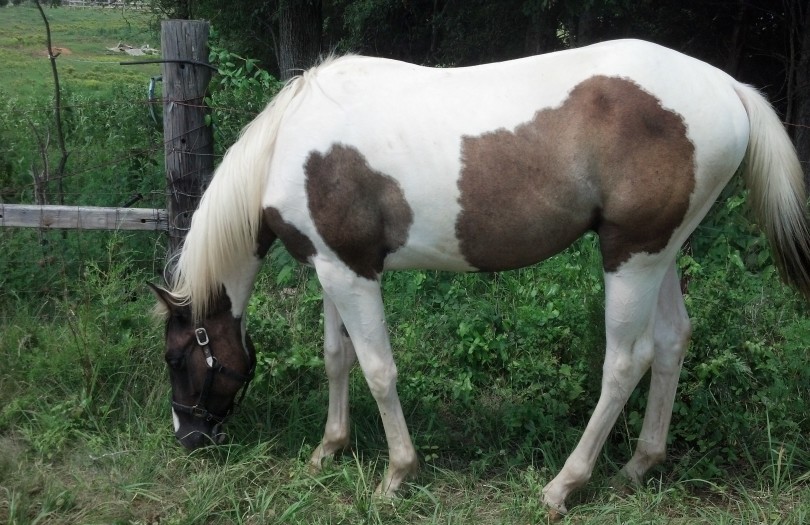 IMG_20140727_140527_975