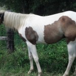 IMG_20140727_140534_683