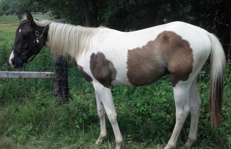 IMG_20140727_140534_683