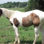 IMG_20140727_140641_565