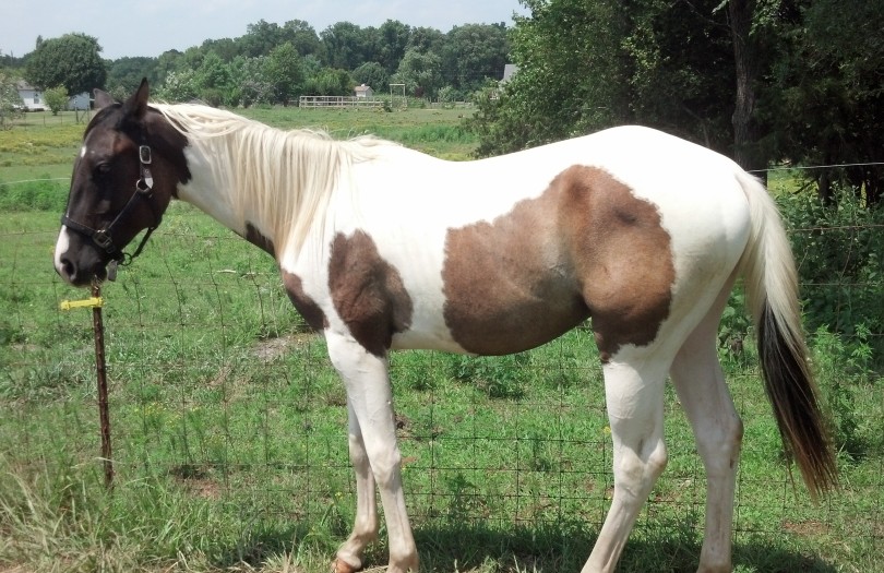 IMG_20140727_140641_565