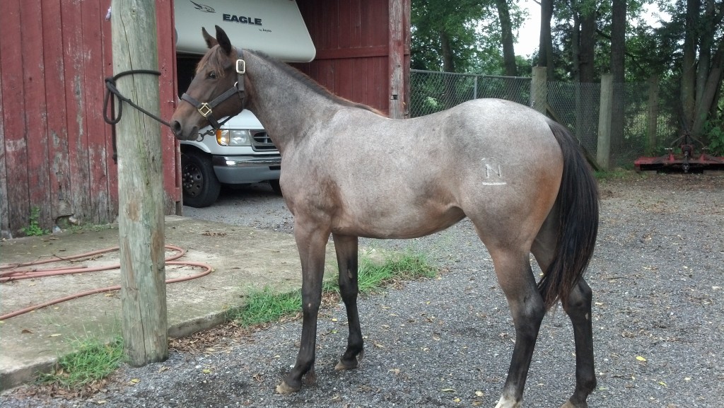 IMG_20140906_152529_361