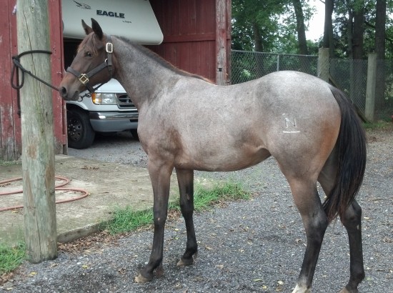 IMG_20140906_152529_361