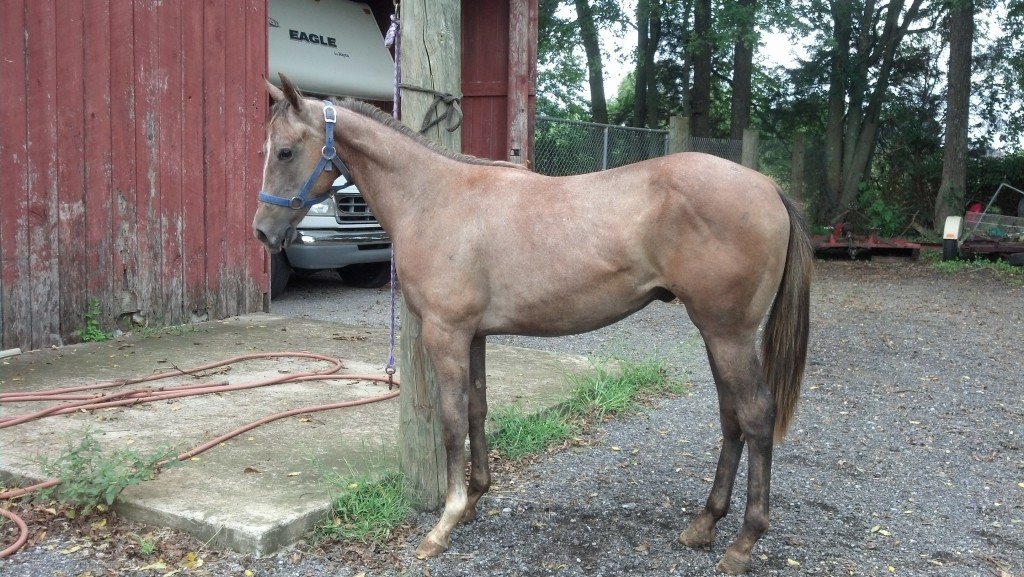 IMG_20140906_152805_723