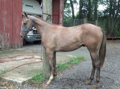 IMG_20140906_152805_723