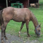 IMG_20140906_153130_684