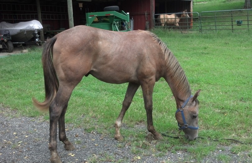 IMG_20140906_153130_684