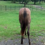 IMG_20140906_153138_915